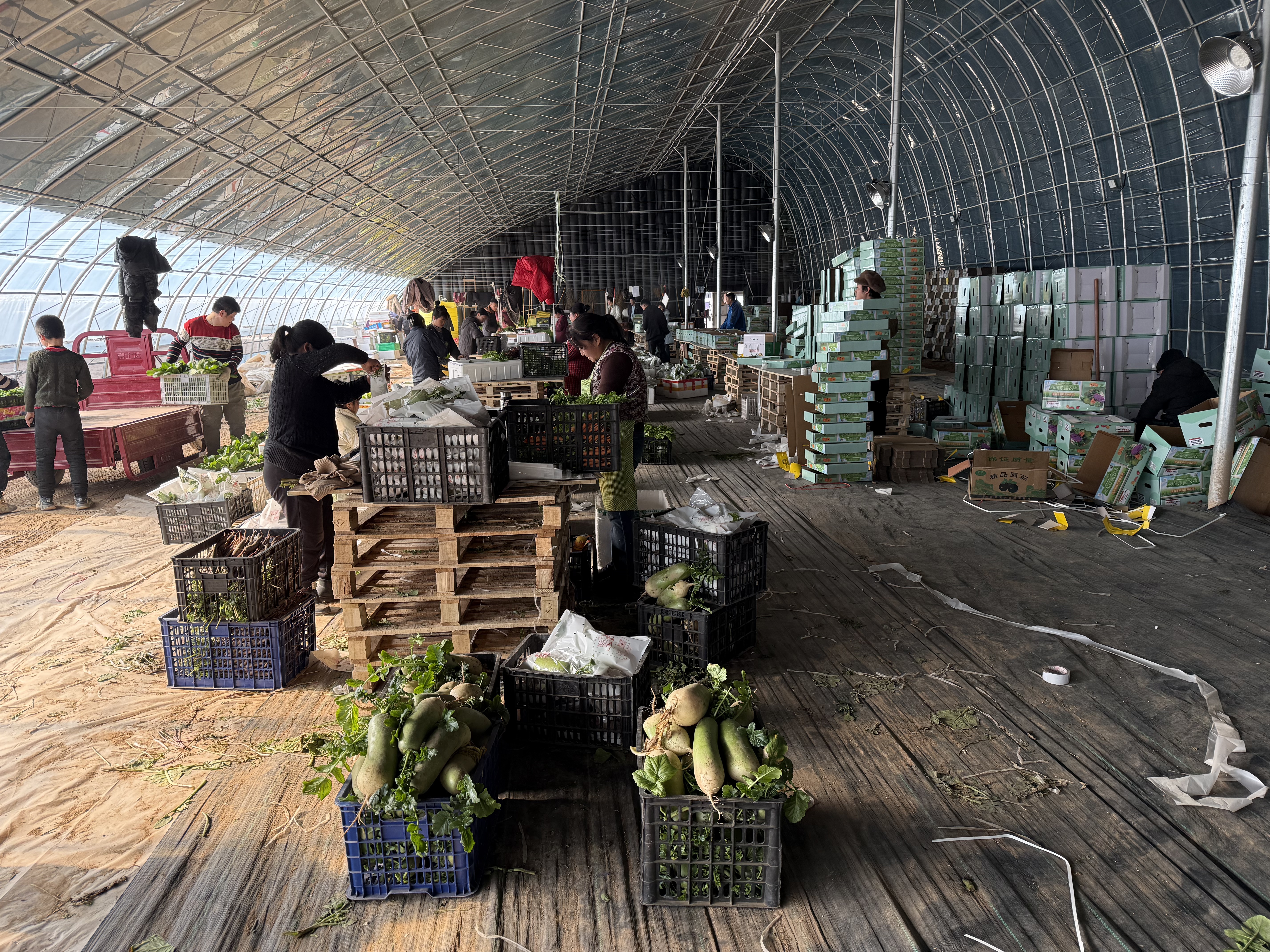 308368060438769665.jpg 308368060438769665.jpg