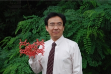 MILAN.COM创新论坛第一千二百七十三讲暨120周年校庆年系列活动： Unexpected slow diffusion in hierarchical porous materials with combined surface and configurational diffusion   