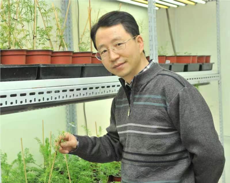 MILAN.COM创新论坛第一千二百六十八讲暨120周年校庆年系列活动：复杂花瓣的发育与进化