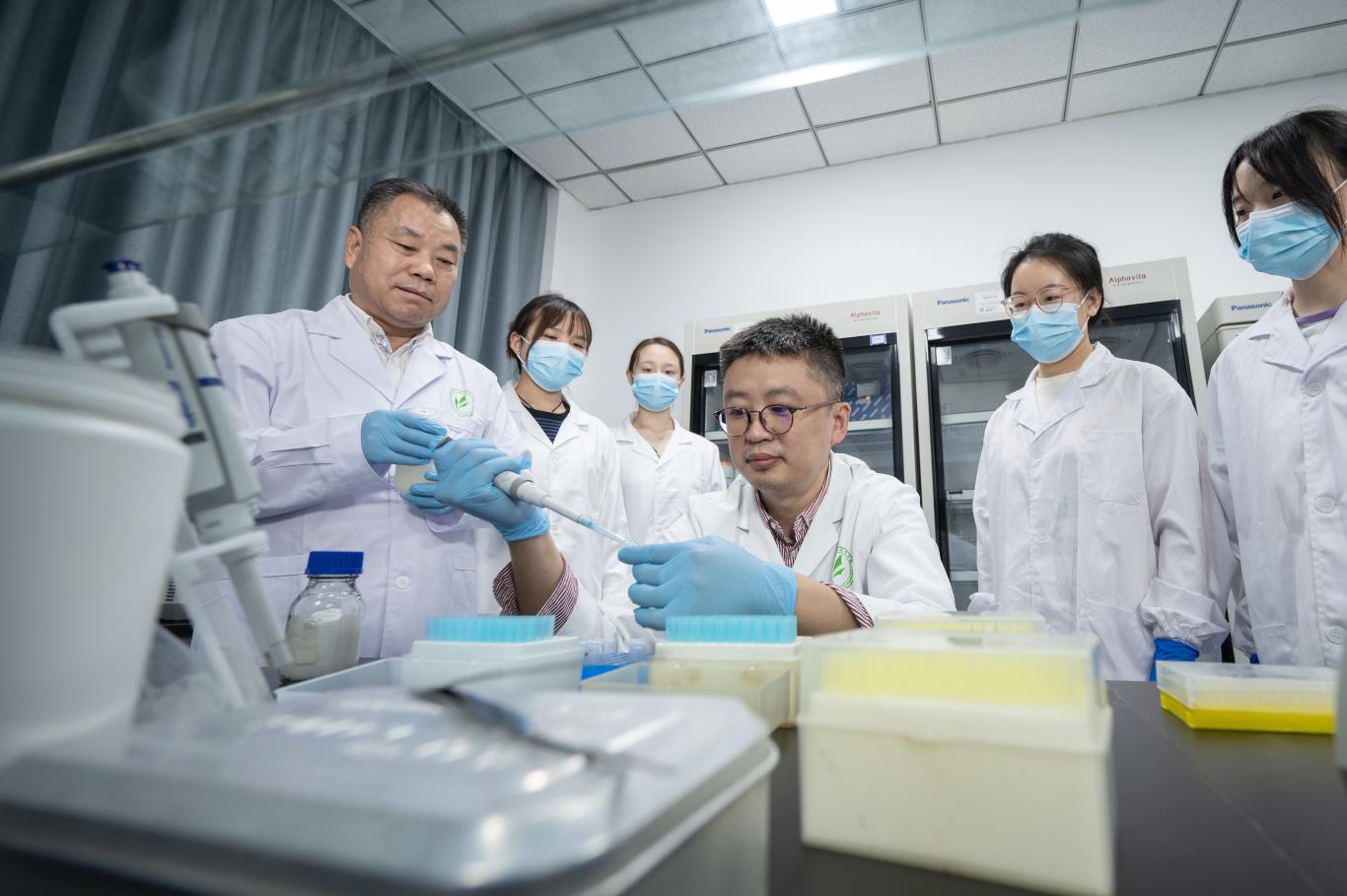 20230602160712068-82-0b07b.jpg_scale.jpg 20230602160712068-82-0b07b.jpg_scale.jpg